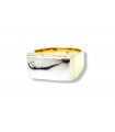 14K two tone Gold Ring for Man with Diamond
